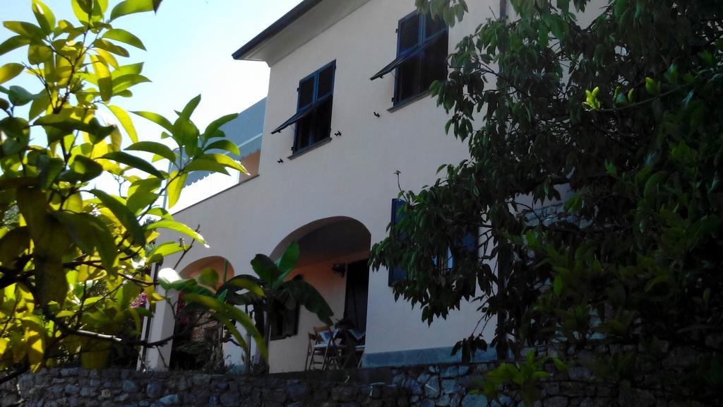 Villa Il Pettirosso