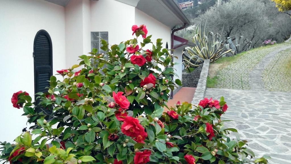 Villa Il Pettirosso La Spezia