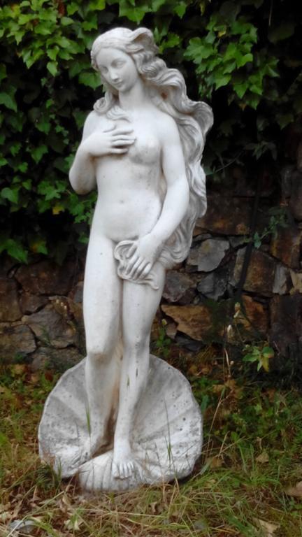 Il Pettirosso La Spezia