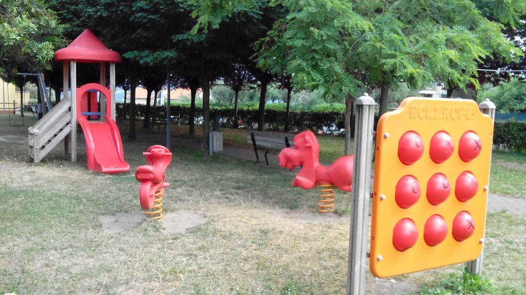 Il Pettirosso *